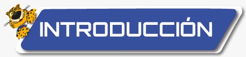 Intoduccion