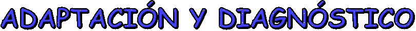 ADAPTACIÓN Y DIAGNÓSTICO