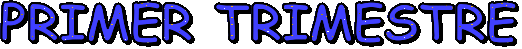 PRIMER TRIMESTRE