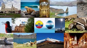 Ecuador Megadiverso by Nathaly Tapia on Prezi Design